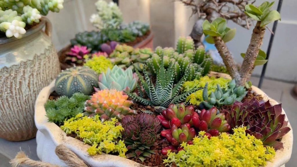 Faux Succulent Arrangement